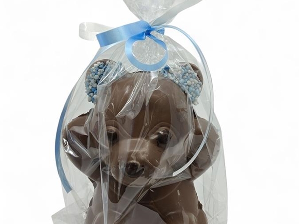 Geboortebeer roze/blauw